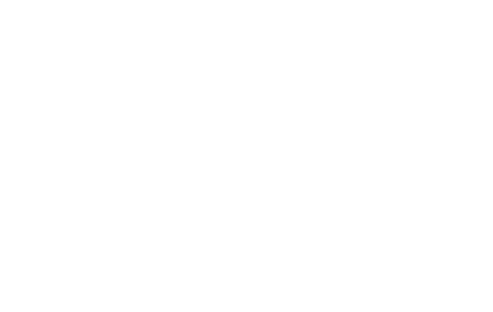 Special Edition